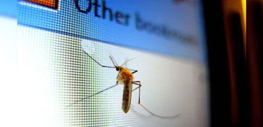 মশারূপী ড্রোন কি বদলে দিচ্ছে আমাদের বাস্তবতা?