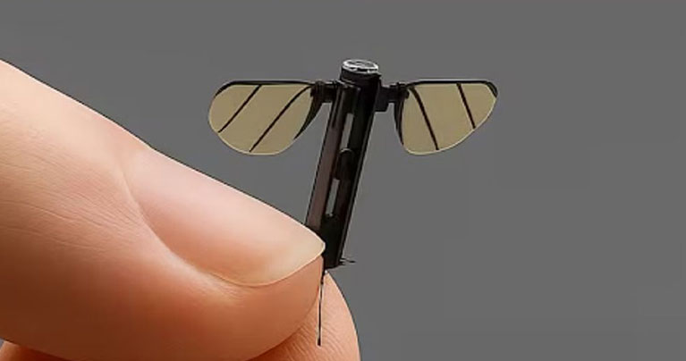 মশা আকৃতির নজরদারি ড্রোন তৈরি করল চীন