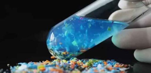 মানব শুক্রাণু ও ডিম্বাণুতে মিলেছে প্লাস্টিক কণার উপস্থিতি: গবেষণা